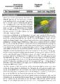 Gemeindebrief 02/2026